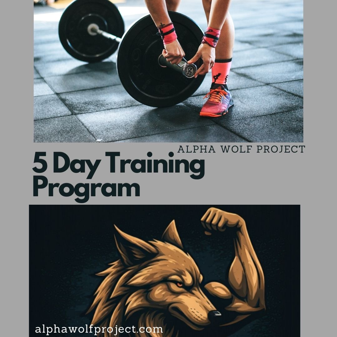 5-Day Workout Program (Free)