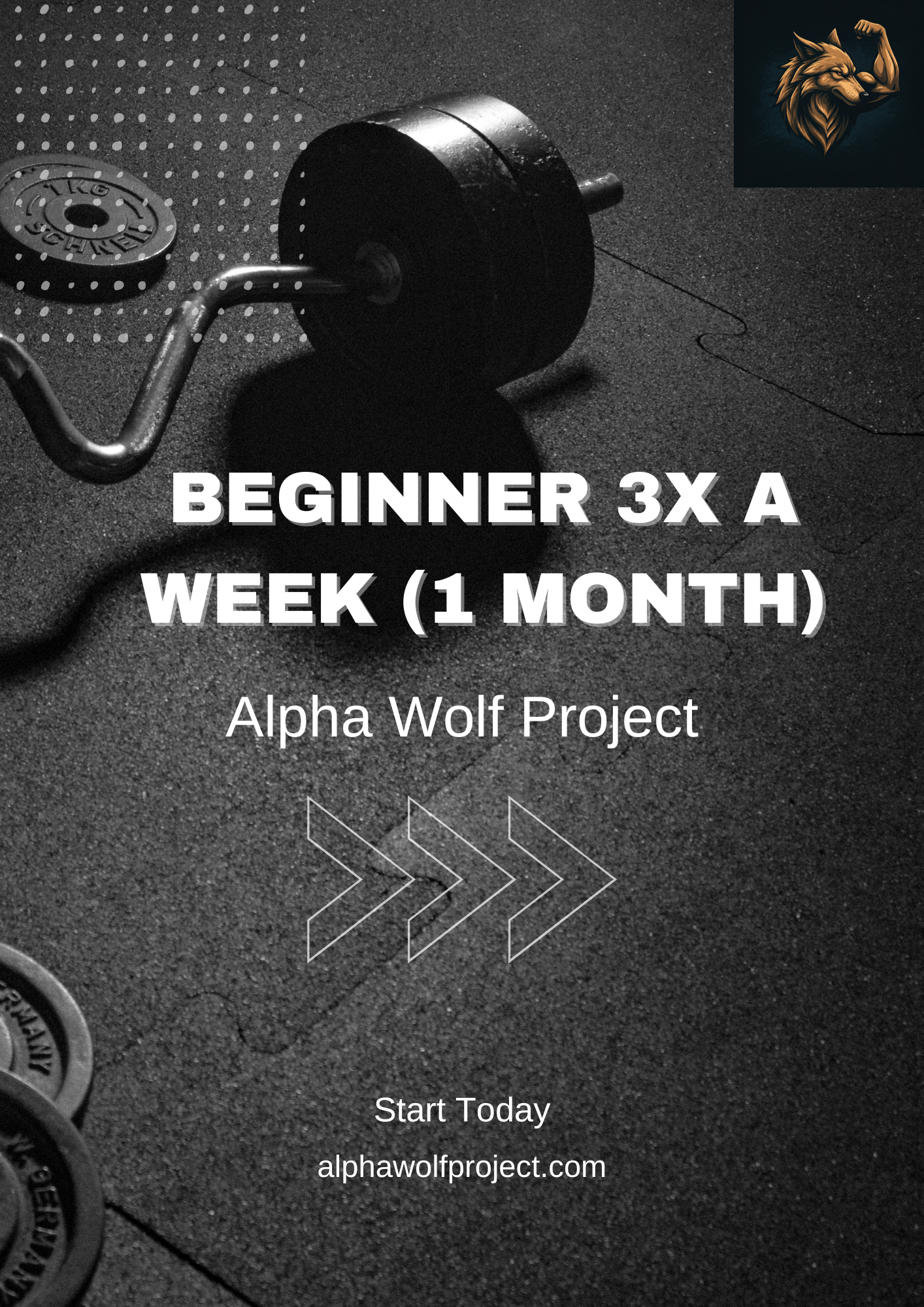 Bodybuilder Beginner Program 3x a Week (1 Month)