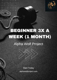 Bodybuilder Beginner Program 3x a Week (1 Month)