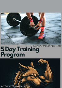 5-Day Workout Program (Free)